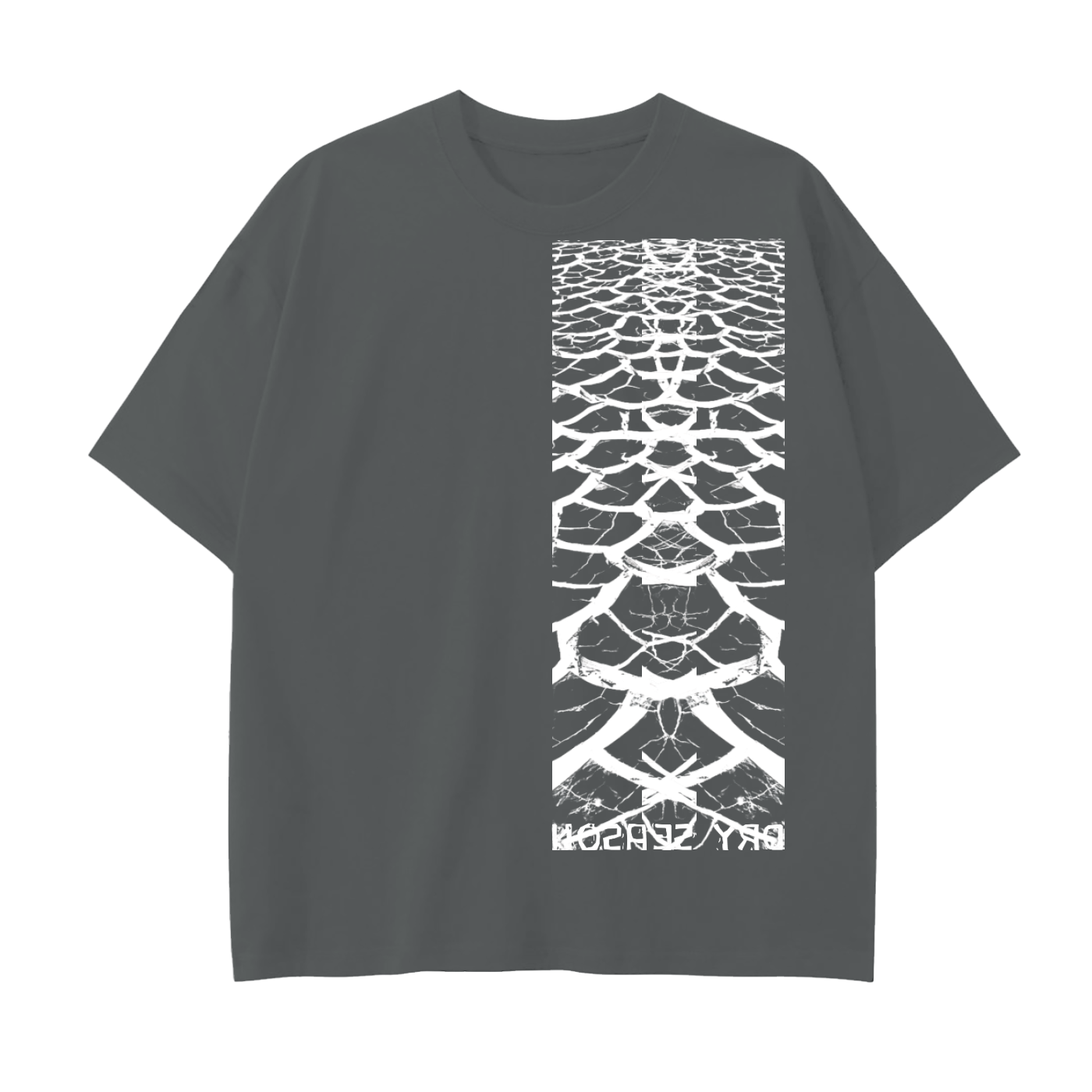 Dry Season Mirror T-Shirt