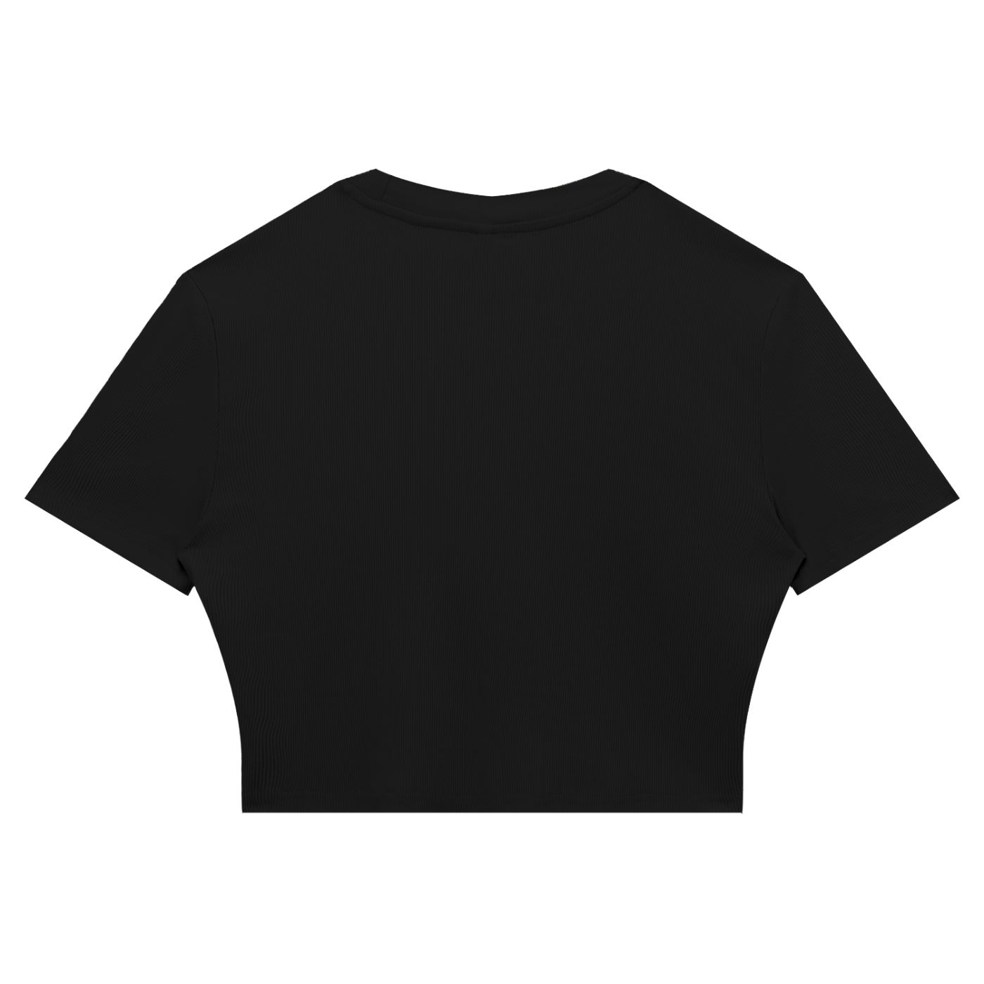 Awake Ribbed Crop T-Shirt