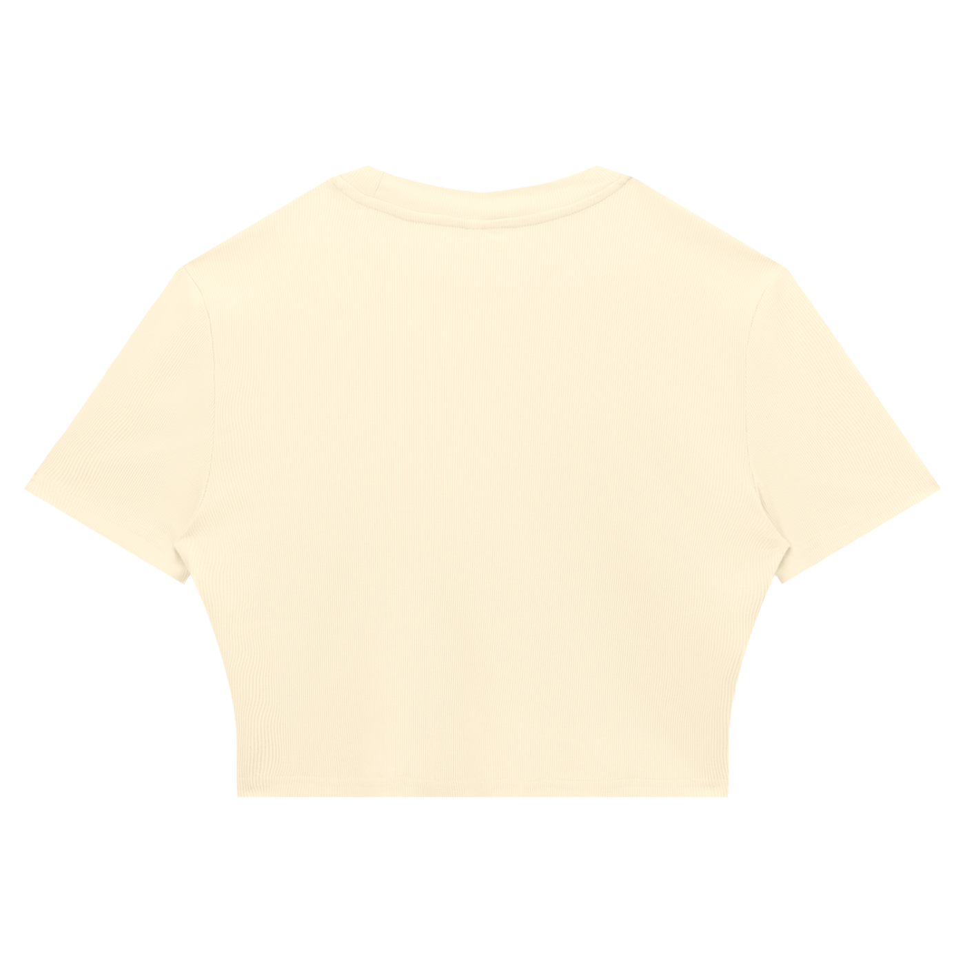 Awake Ribbed Crop T-Shirt